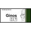 GINOS® (Ginkgo Biloba Extract) 40 mg/tab, 30 tabs - Pharmaceutics